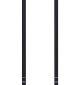 Black Diamond Equipment - Trail Pro Shock Trekking Poles